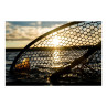 Fishpond Nomad Boat Net Riverbed Camo mit Schonnetz