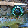 Bauer Mackenzie CFX Fliegenrollen zum Fliegenfischen bei Flyfishing Europe