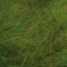 Biber Dubbing caddis grün zum Fliegenbinden unter Fliegenbindematerial bei FFE