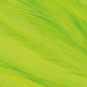 Sattelhecheln Strung chartreuse