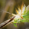 SWISSCDC CDC Feadern Standard Fliege Trockenfliege