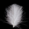SWISSCDC CDC Federn Feathers Super Select weiß