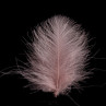 SWISSCDC CDC Federn Feathers Natural Line soldanella