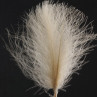 SWISSCDC CDC Federn Feathers Natural Line acier