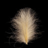 SWISSCDC CDC Federn Feathers Natural Line aurora
