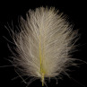 SWISSCDC CDC Federn Feathers Natural Line nachtkerze