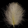 SWISSCDC CDC Federn Feathers Natural Line nachtkerze