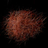 SWISS CDC South America Fur Dubbing rusty red