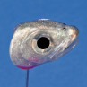 Handgefertigte Streamerköpfe Weißfisch zum Fliegenbinden unter Fliegenbindematerial bei Flyfishing Europe