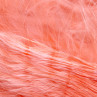 UV2 Marabou Federn shrimp pink zum Fliegenfischen bei Flyfishing Europe