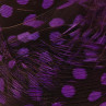 UV2 Perlhuhn Körperfedern purple zum Fliegenfischen bei Flyfishing Europe