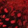 UV2 Perlhuhn Körperfedern red zum Fliegenfischen bei Flyfishing Europe