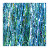 SSS Flash clear water blue Froedin Flies