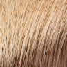 Elchhaar Elk Hair natur zum Fliegenbinden unter Fliegenbindematerial bei FFE