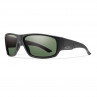 Smith Optics Discord Carbonic matte Black/polar Gray green Polarisationsbrille