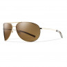 Smith Optics Serpico Carbonic Polarisationsbrille gold polar braun