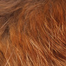 Fuchshaar-Felle Fox Rotfuchs zum Fliegenbinden unter Fliegenbindematerial bei FFE