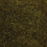 SLF Squirrel Dubbing dunkeloliv zum Fliegenbinden unter Fliegenbindematerial bei Flyfishing Europe