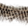 Jailhouse Bunny Strips weiß/schwarz zum Fliegenbinden unter Fliegenbindematerial bei FFE