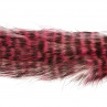 Dos-Tone Jailhouse Bunny Strips weiß/pink zum Fliegenbinden unter Fliegenbindematerial bei Flyfishing Europe