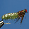 Caddis Nymphe gebunden mit Loco Foam beetle green zum Fliegenbinden unter Fliegenbindematerial bei FFE