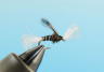Chiro Pupa black #16 zum Fliegenfischen bei Flyfishing Europe