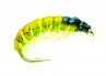 Czech Nymph olive Koecherfliegenlarve Euronymphing