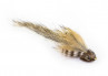 Brown Sculpin Koppenstreamer Forelle