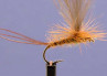 Yellow CDC May Fly Size 10, Europe CDC Trockenfliege zum Fliegenfischen auf Äschen und Forellen bei Flyfishing Europe