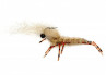Honey Shrimp Meerforellenfliege Garnele
