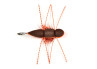 Pahtakorva Foam Dry - Surface Serie Froedin Flies