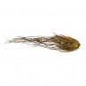 Bauer Bleeding Perch Pike Tube Hecht-Tubenfliege