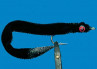 Aal, Owens', Gr.1/0 black, Küstenfliegen zum Fliegenfischen auf Meerforelle bei FFE